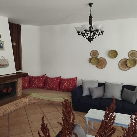 Elea Home Apartments Aleksandropolis Zewnętrze zdjęcie