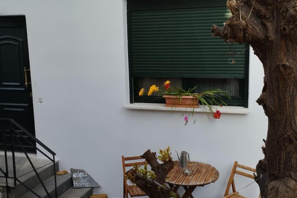 Elea Home Apartments Aleksandropolis Zewnętrze zdjęcie