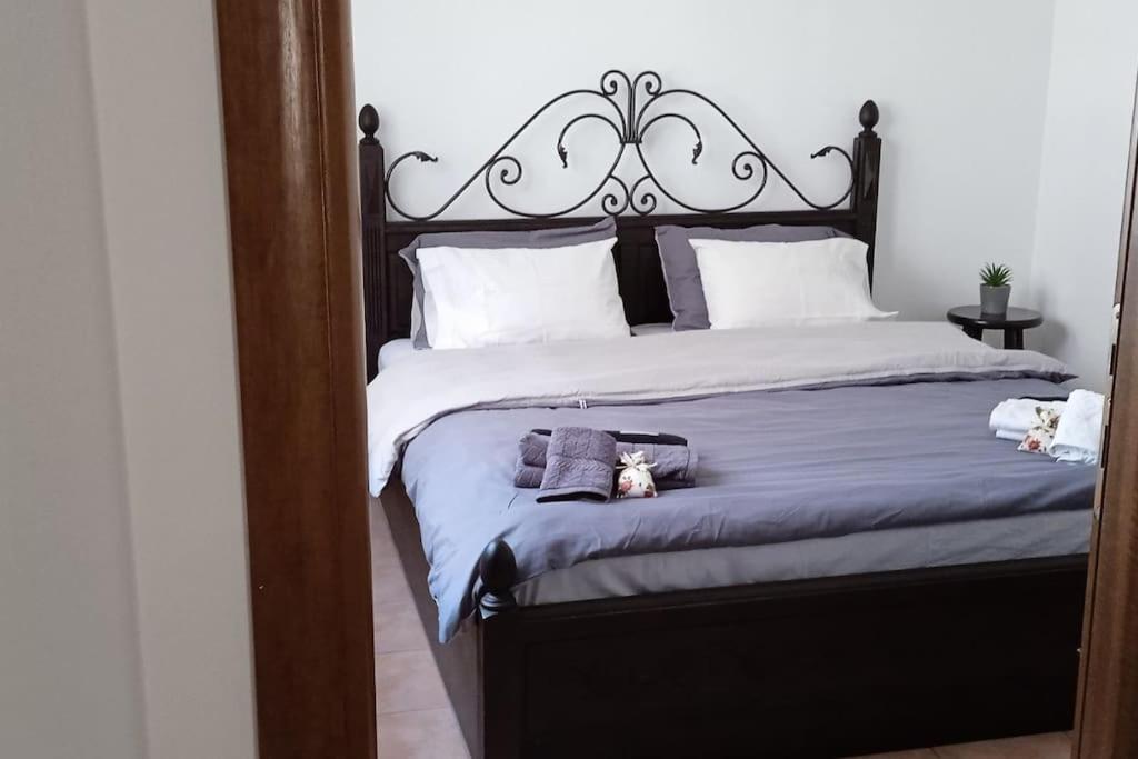 Elea Home Apartments Aleksandropolis Zewnętrze zdjęcie