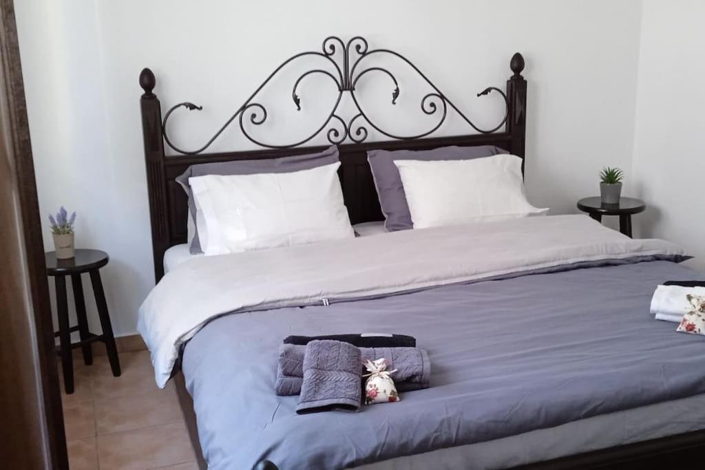 Elea Home Apartments Aleksandropolis Zewnętrze zdjęcie