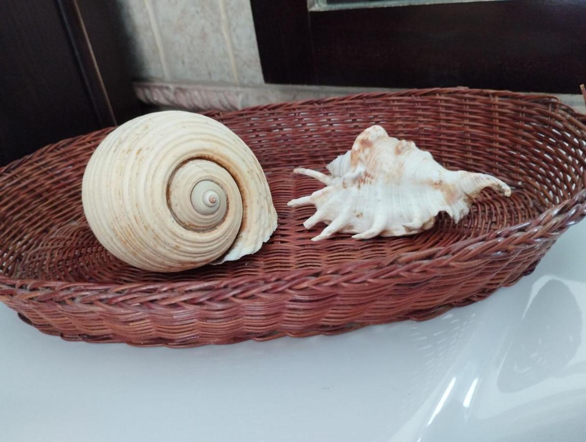 Elea Home Apartments Aleksandropolis Zewnętrze zdjęcie