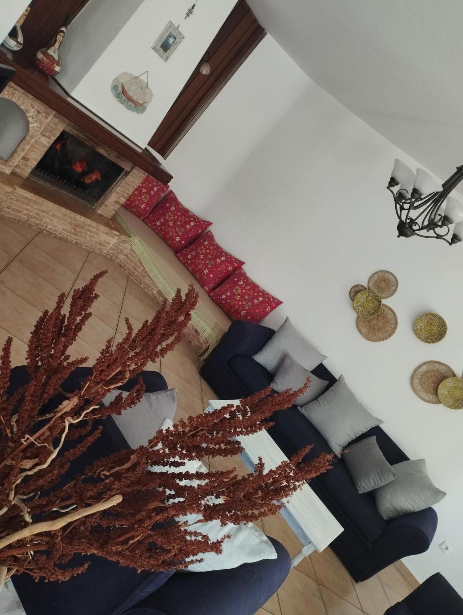 Elea Home Apartments Aleksandropolis Zewnętrze zdjęcie